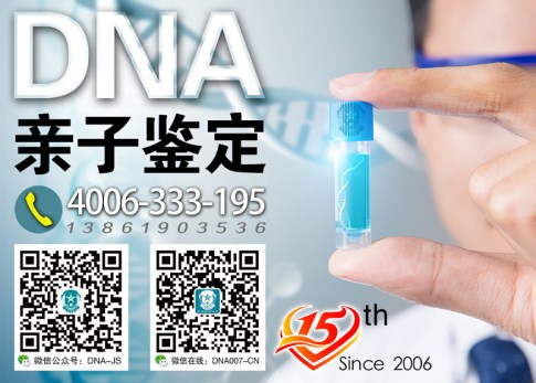 鉴定图211_副本 鉴定图211_副本