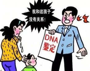 亲子鉴定图片 亲子鉴定图片