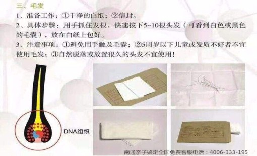 毛发样本_副本 毛发样本_副本