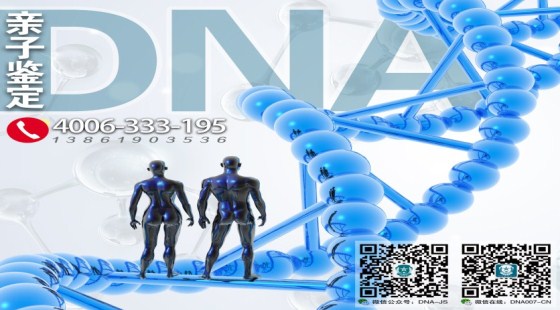 新网站17 新网站17