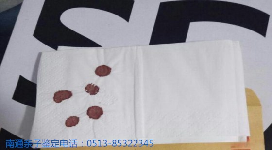 新网站24_副本