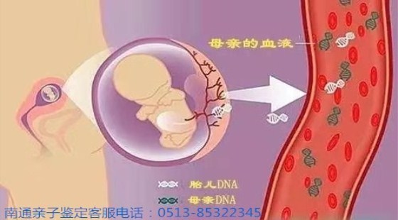 新网站23 (2) 新网站23 (2)