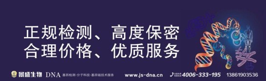 文中长图3 文中长图3