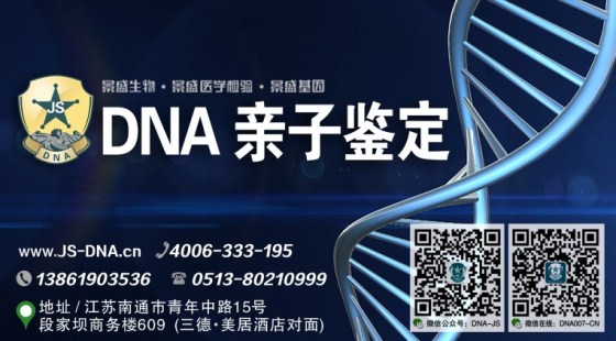 新网站2 新网站2