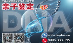隐私亲子鉴定和诉讼亲子鉴定哪个好？