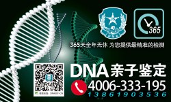 做亲子鉴定需要准备什么?